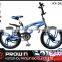 2016 Egypt blue 20 inch bmx bike/freestyle bmx bike with 3.0 tire (PW-FS20318)