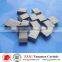 Carbide Saw Tips for Sawmill Industry