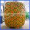 portable pineapple cabin for sale
