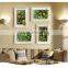 beautiful Plastic Succulents for interior decoration wall decortaion