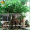 latest design artificial banyan tree