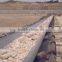 Abrasion resistant conveyor belt