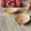 Factory Wholesale Cheap hot sale handmade oak wooden spoon