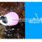 FDA Approved Drinking Bottle Lantern/Silicone Foldable Water Storage Bottle For Sports