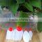 Square 15ml sushi soy bottle