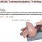 50 Trachea Intubation Training Model