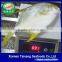 Gain Ocean Food Farm Raised Seafood Available Size Frozen Whole Golden Pompano Fish
