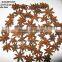 Viet Nam Star Aniseed / Star Anise