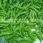2015 new crop china fresh snow pea and sugar snap pea