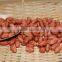 New Crops Red Skin Peanut Kernel