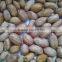 Peanuts in shelled