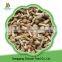 High Quality Bulk Frozen Mushroom Nameko