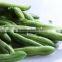 VF green bean chips Tempura vegetable snack dried bean snack