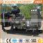 Chinese high quality diesel generator set 10kv