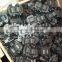 High quality ignition coil DG508 1L2U-12029-AA 1L2Z-12029-AA 1L5Z-12029-AA F7TZ-12029-BA 11202908