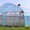 Tunnel Greenhouse