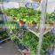 A83 metallic display garden decorative plant trolley