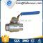 high quality cheap price lanwei wcb check valve with BSP for water