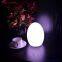 led decoration light egg