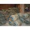 Explosion proof  electric motor China