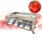 Easy operation palm dates sorting machinery/iran date sorting machine/dry date processing machine