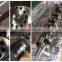 Crankshaft ASSY 3630075  For Diesel Engine K38