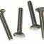 Cup Head Square Neck Bolts With Large Head-Product Grade C ISO8677