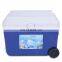 Portable 50 L  Insulated hard cooler box with cutsom logo and custom color