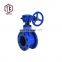 High Quality Butterfly Valve Best Price Eccentric Butterfly Valve Normal Temperature PN16 Manual General 10 D343H-16 CN;SHG