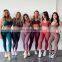 Wholesale Sport Suit Women, Fitness Clothing Sport Wear Yoga Set Gym Sportswear Running Leggings Women Set/