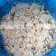 Sinocharm BRC A approved IQF Frozen Water chestnut slice