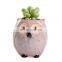 In Stock Purple Pots Planter Indoor Big Marble Garden Geometric Ceramic Animal Flower Pot
