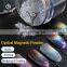 Brilliant Rainbow Silver Holographic Laser Unicorn Chrome Magnetic Nail Powder