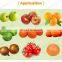 Grading Machine Melon Fruit Sorter Grader Mandarin Orange Apple Sorting Machine