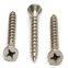 Self-Tapping Screws with Pan/Truss/Hex/Csk Head
