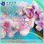 Haojing 4mm 5mm 6mm Clear Puzzle figure glass pattern glass