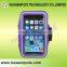 5.5 Inch Sport Armband for iPhone 6 Mobile Phone Elastic Armband