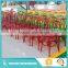 2015 new wedding chair resin thonet chair
