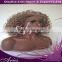 18" kinky Curly Grey full lace Wig brazilian human hair with 4"x4" silk top