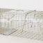 ferret cage in pet