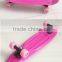 Mini plastic skateboard for kids