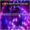 ws2812b upgrade5m/roll DC5V WS2813 WS2812B WS2811 Led Strip, Dmx Led Strip, Programmable Led Strip