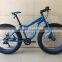 New Product Blue Big Tyre Snow Sand Beach Fat Bike