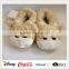 Cute Plush Indoor Slippers