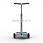 300W*2 electric powered self balancing handled scooter