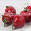 2015 Wholesale Apple Decoration for Christmas