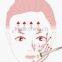 WL-29 3 in 1 Microcrystalline Led Mask Beauty Machine