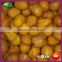 2015 Organic Sweet Frozen Chestnut Nuts Kernels