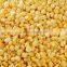 FD freeze dried vegetables