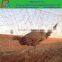 pheasant netting/plastic mesh anti hail net for growing plants